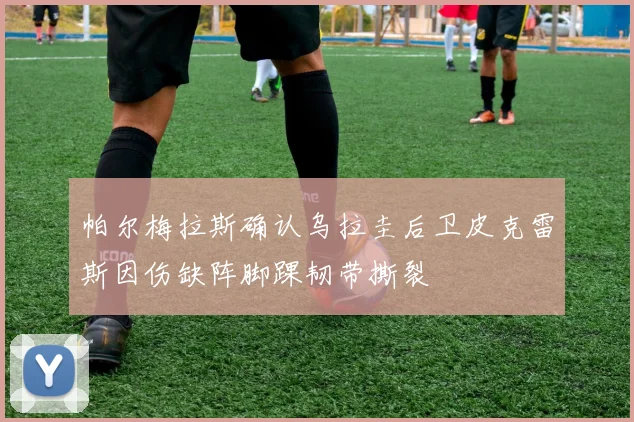帕尔梅拉斯确认乌拉圭后卫皮克雷斯因伤缺阵脚踝韧带撕裂